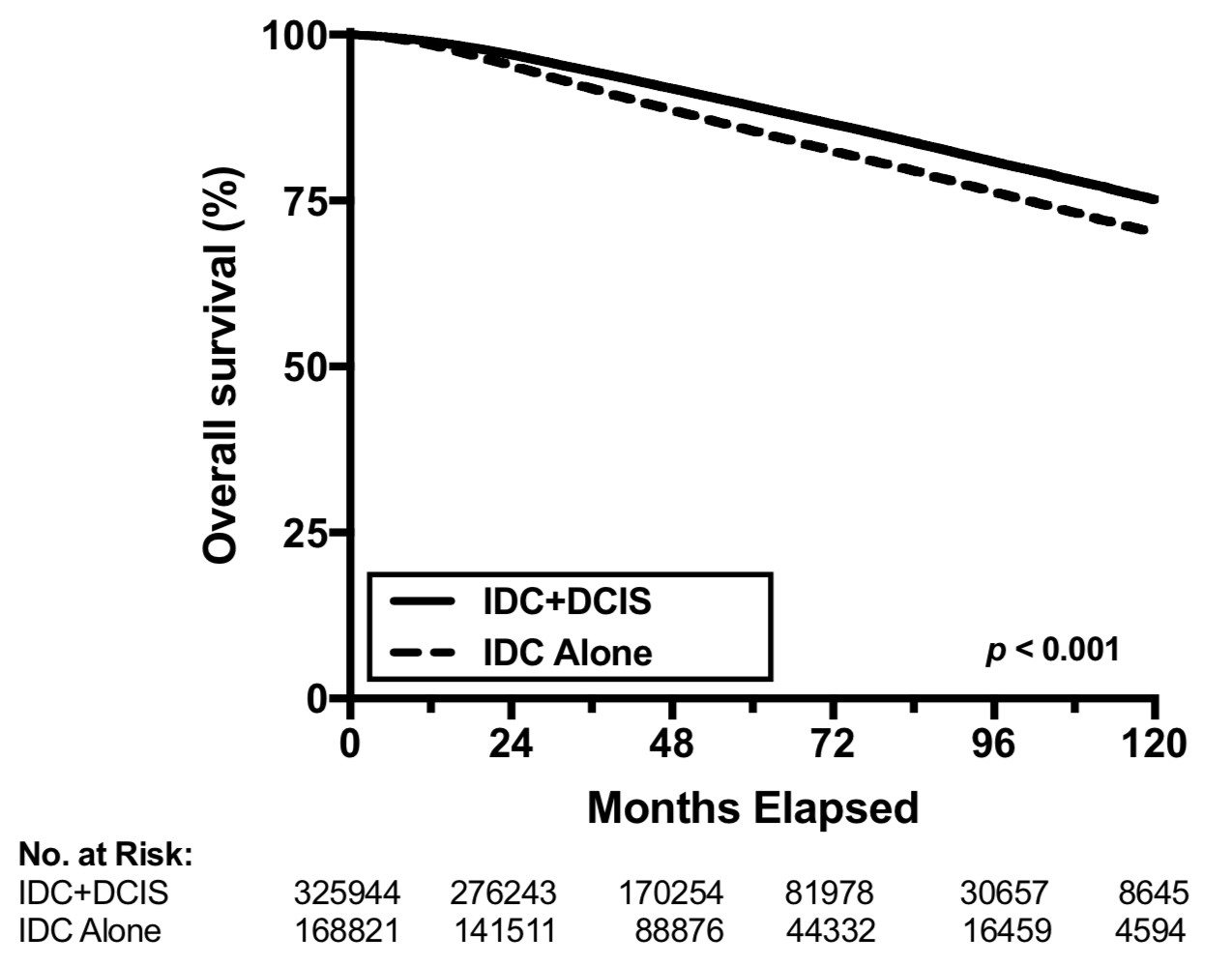 ny16_158862.jpg m5.jpg