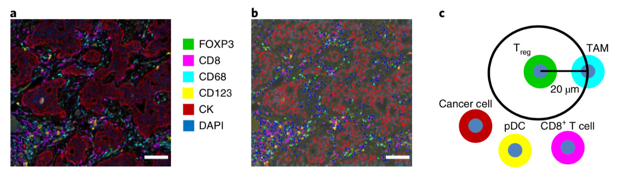 ny16_604877.jpg m7.jpg