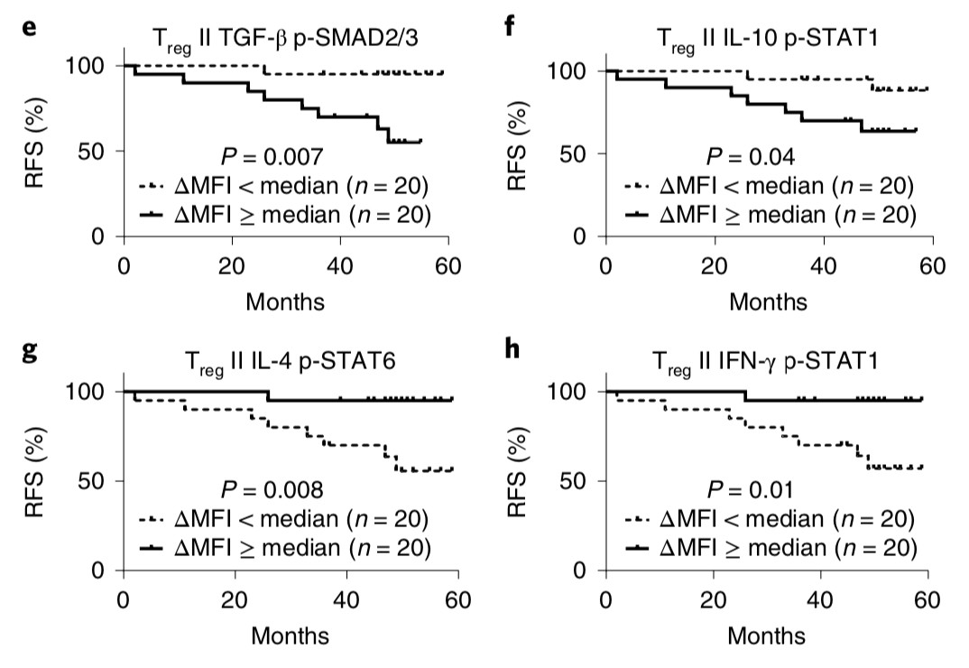 ny16_248619.jpg m6.jpg