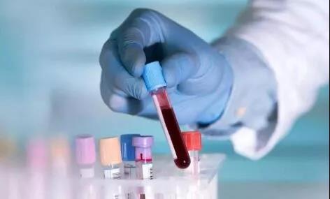 ny16_373748.jpg ny16_373748.jpg