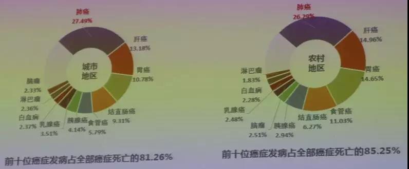 ny24_114863.jpg t4.jpg