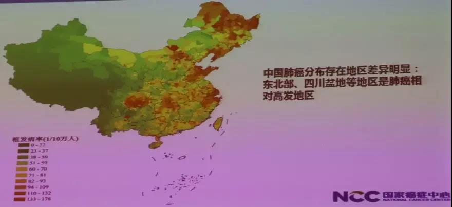 ny24_140694.jpg t7.jpg