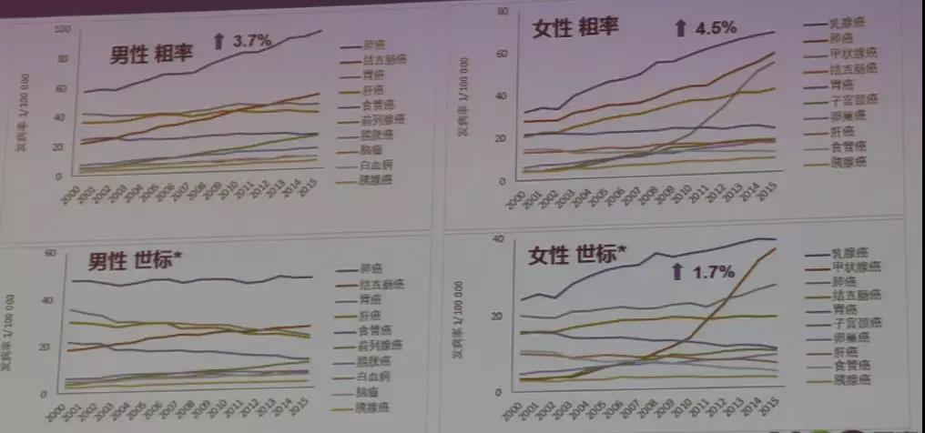 ny24_346549.jpg t6.jpg