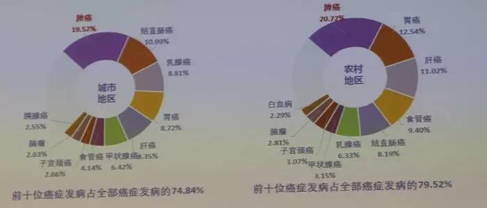 ny24_499929.jpg t2.jpg