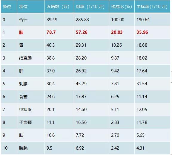 ny24_584341.jpg t1.jpg