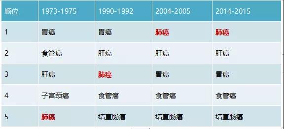 ny24_819904.jpg t5.jpg