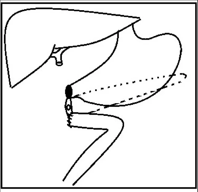 ny25_700241.png b6.png