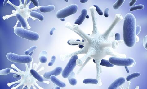 ny31_472267.jpg ny31_472267.jpg