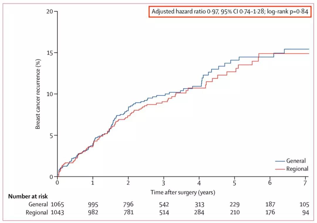 ny12_542122.jpg r7.jpg