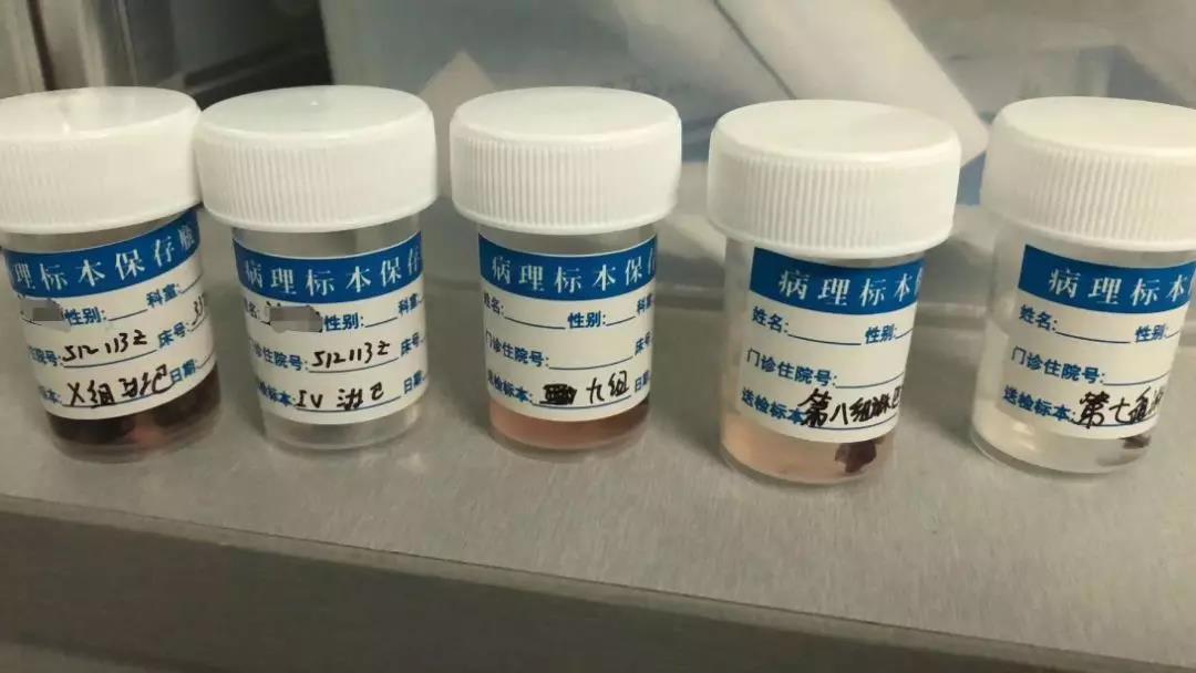 ny20_252128.jpg v10.jpg