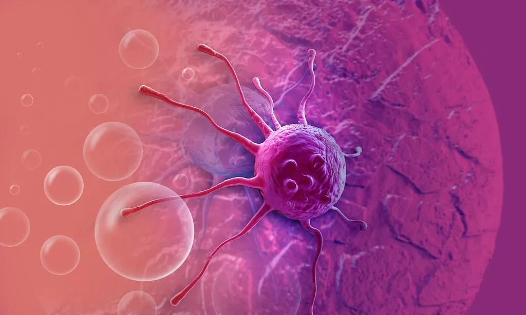 ny20_533298.jpg v1.jpg