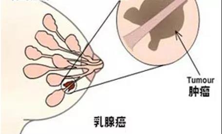 ny20_604471.jpg v2.jpg