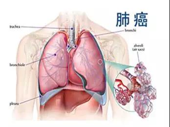 ny20_909598.jpg v6.jpg