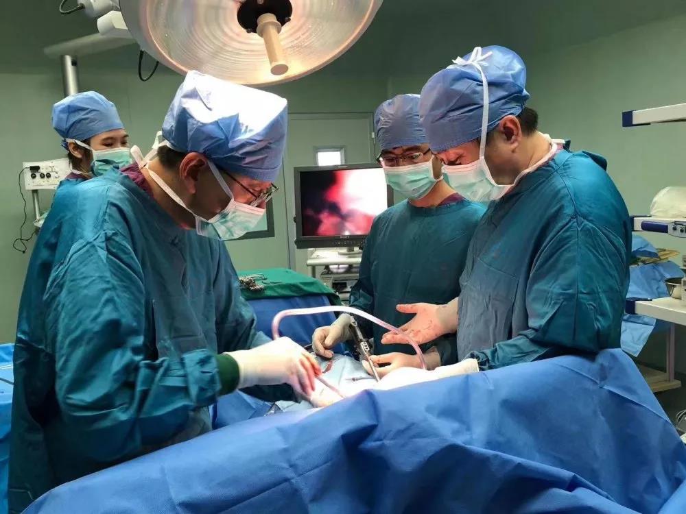 ny20_986409.jpg v9.jpg