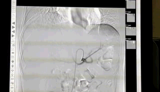 ny08_751163.gif 640.gif