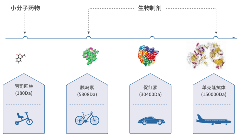 ny09_709241.png v1.png