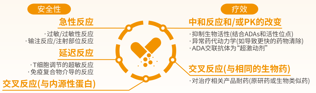 ny09_450965.png v5.png