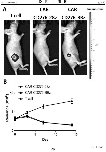 ny22_953134.png r2.png