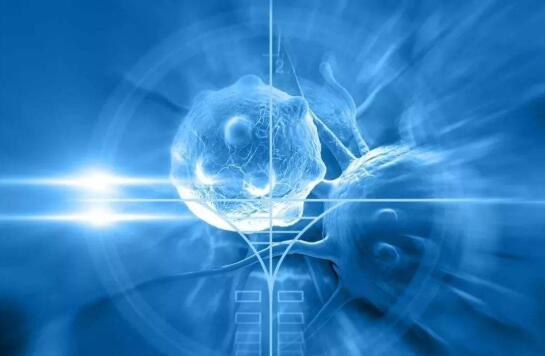 ny22_588578.jpg ny22_588578.jpg