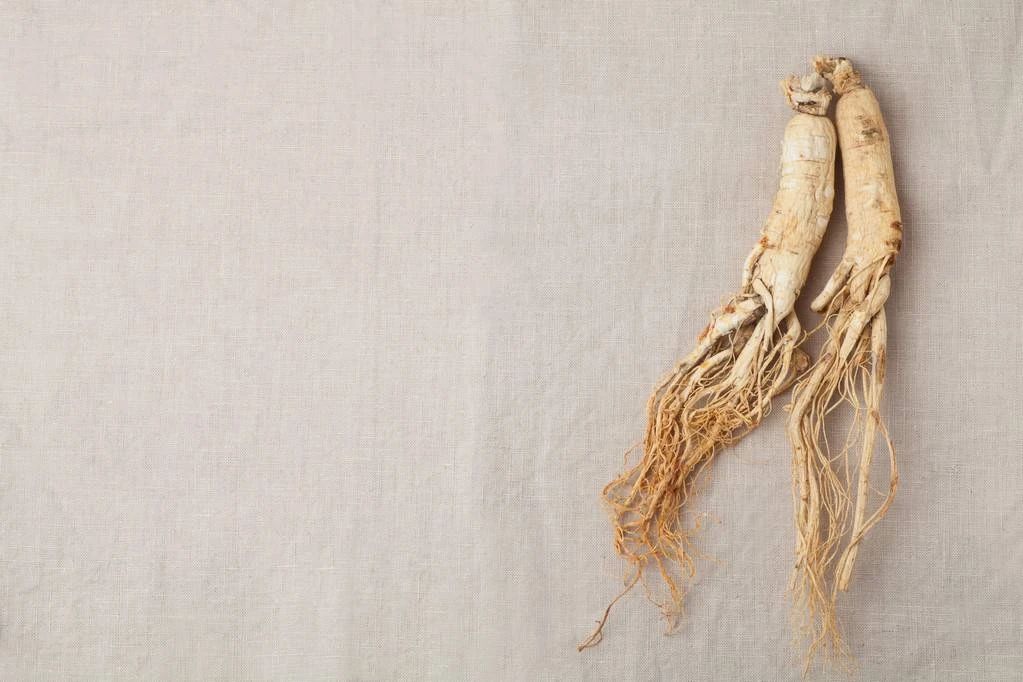 ny03_331478.jpg y4.jpg