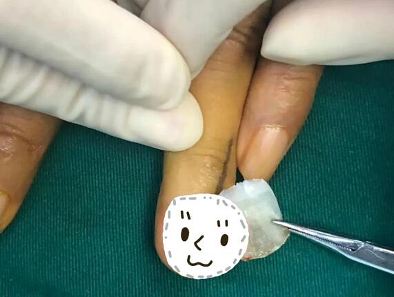 ny21_910447.jpg ny21_910447.jpg