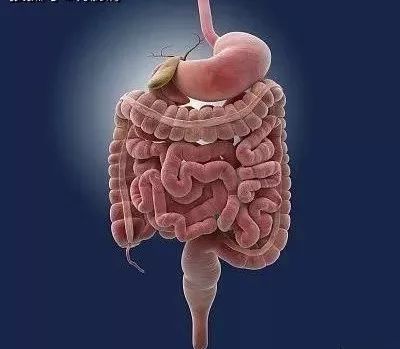 ny27_904112.jpg ny27_904112.jpg