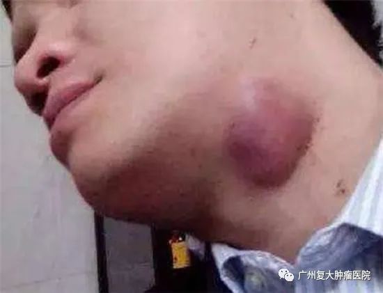 ny11_125124.jpg ny11_125124.jpg