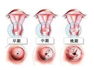 ny09_685430.jpg q11.jpg