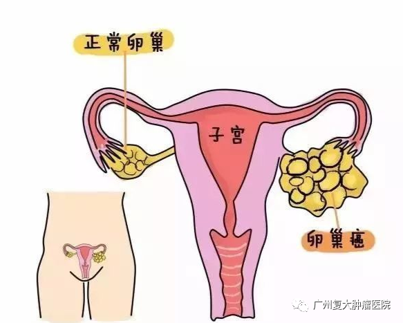 ny09_834314.png ny09_834314.png