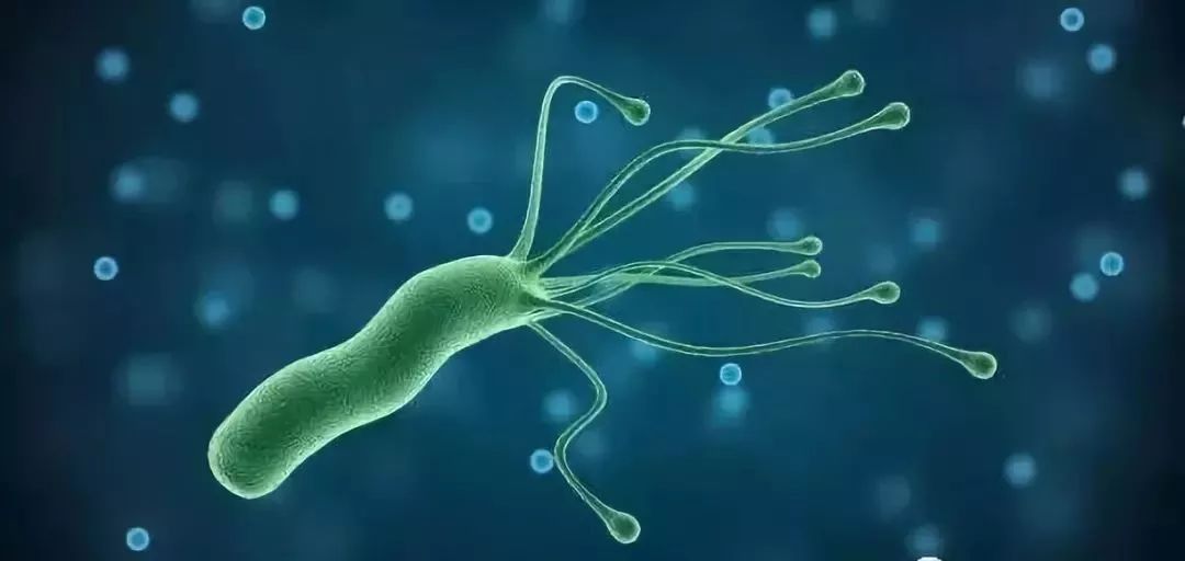 ny07_123484.jpg ny07_123484.jpg