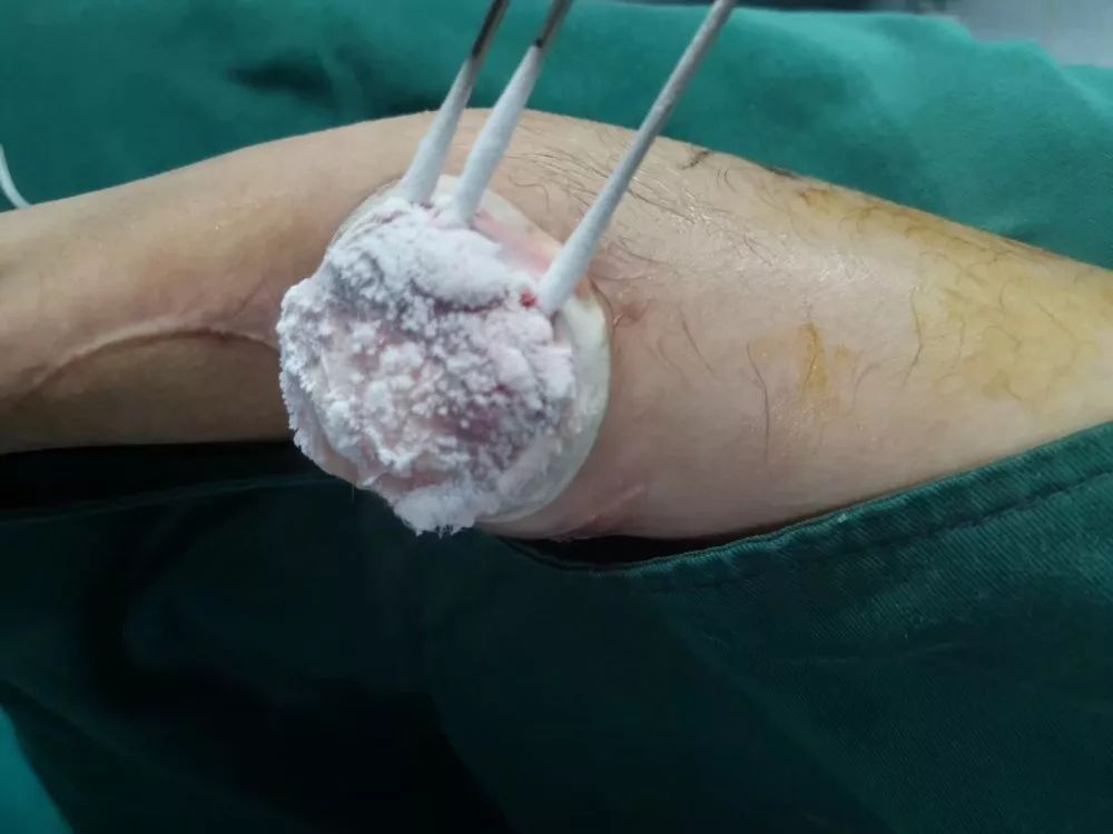 ny31_394696.jpg ny31_394696.jpg