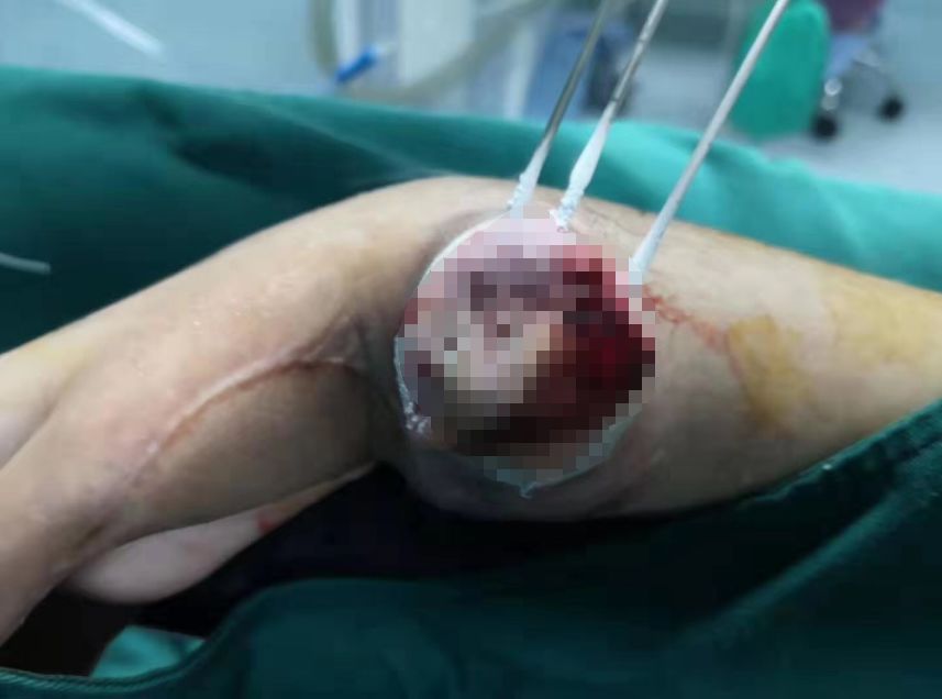 ny31_541971.jpg ny31_541971.jpg