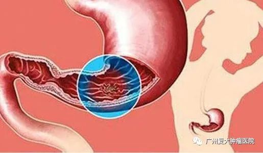 ny07_293929.jpg g14.jpg