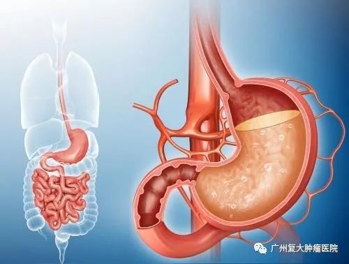 ny07_363176.jpg ny07_363176.jpg