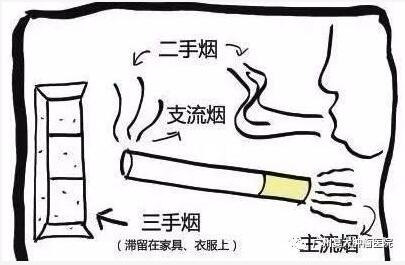 ny31_181101.jpg r6.jpg