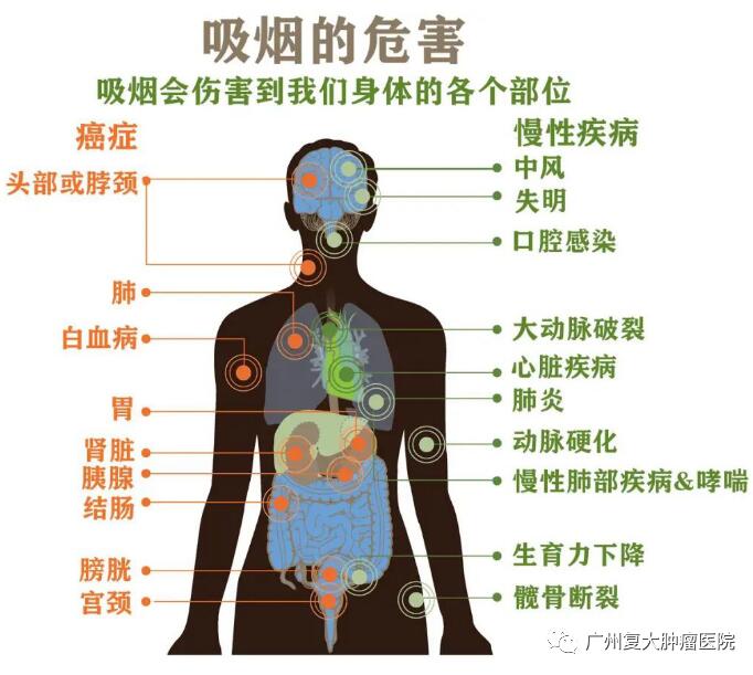 ny31_546911.jpg r5.jpg