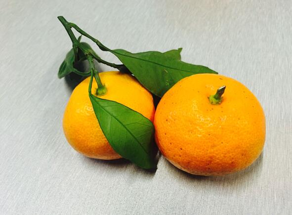 ny06_839457.jpg s1.jpg