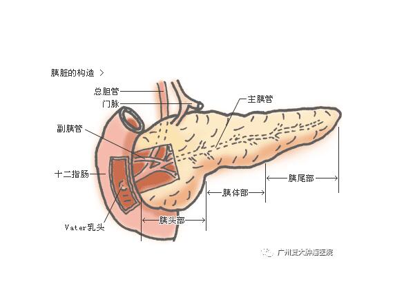 ny18_306902.jpg e2.jpg