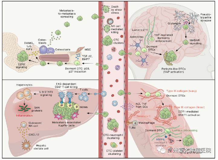 ny08_198776.png ggg3.png