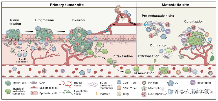 ny08_776988.png ggg2.png