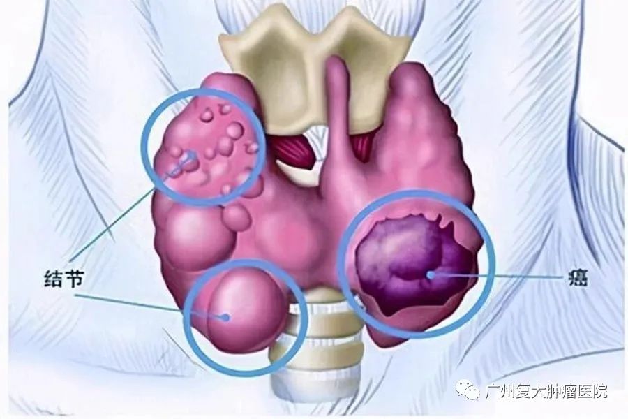 ny28_470564.jpg ny28_470564.jpg