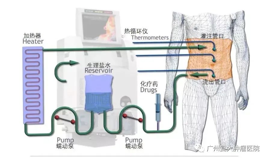 ny16_966600.jpg h11.jpg