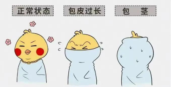 ny24_829395.png ny24_829395.png