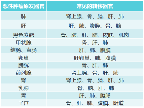 ny12_335426.png g15.png