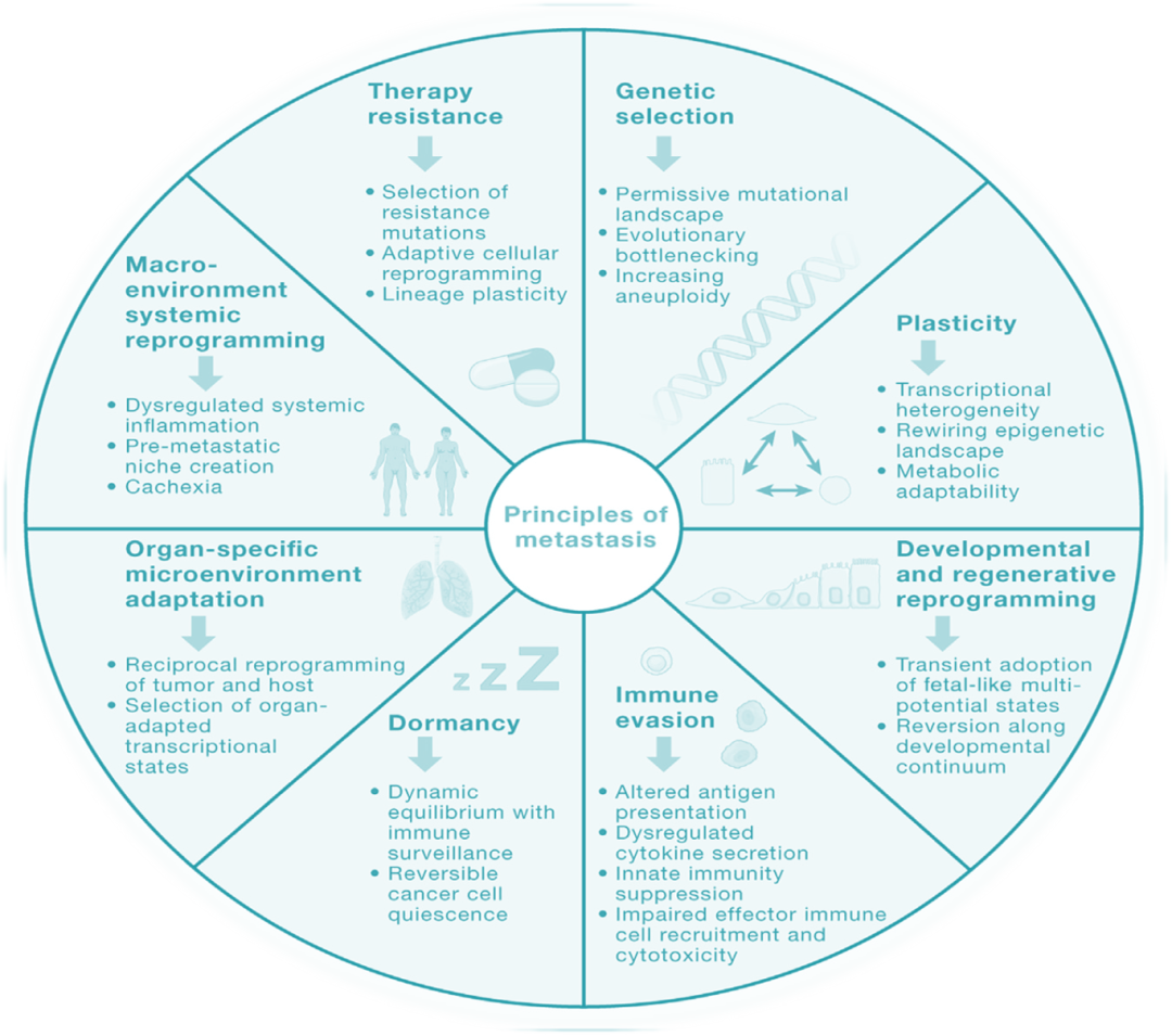 ny12_481397.png g12.png