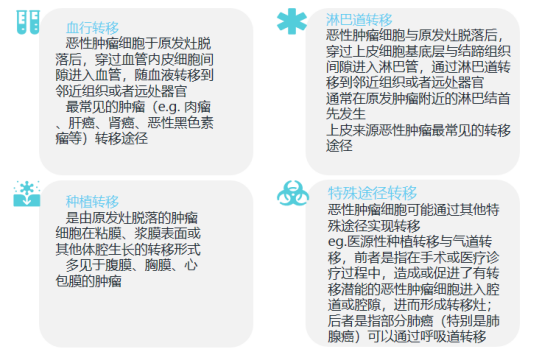 ny12_519953.png g14.png