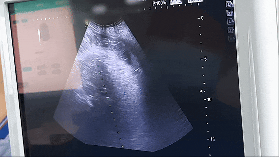 放电2.gif